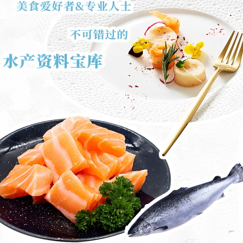 Kuchnia morskich owoców DK 300 – Home Cooking Recipes recenzja i cena